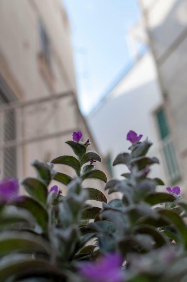 La Casetta Vico San Leonardo Apartment Monopoli Exterior photo